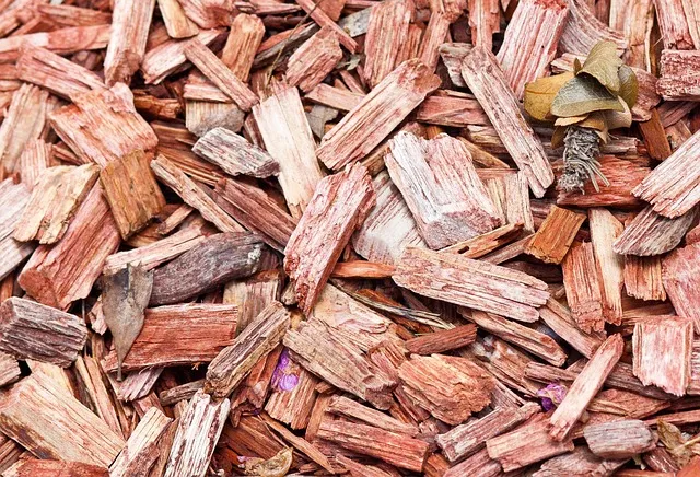 wood processing